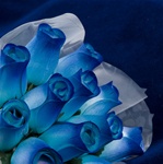Wood Rose Bouquet - Blue