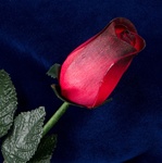 Long-Stemmed Wood Rose - Red