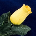 Long-Stemmed Wood Rose - Yellow