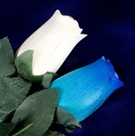 Two Long-Stemmed Wood Roses - Blue and White
