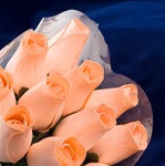 Long Stemmed Wood Rose Bouquet - Peach