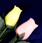Two Long-Stemmed Wood Roses - Yellow and Peach