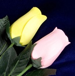 Two Long-Stemmed Wood Roses - Yellow and Pink